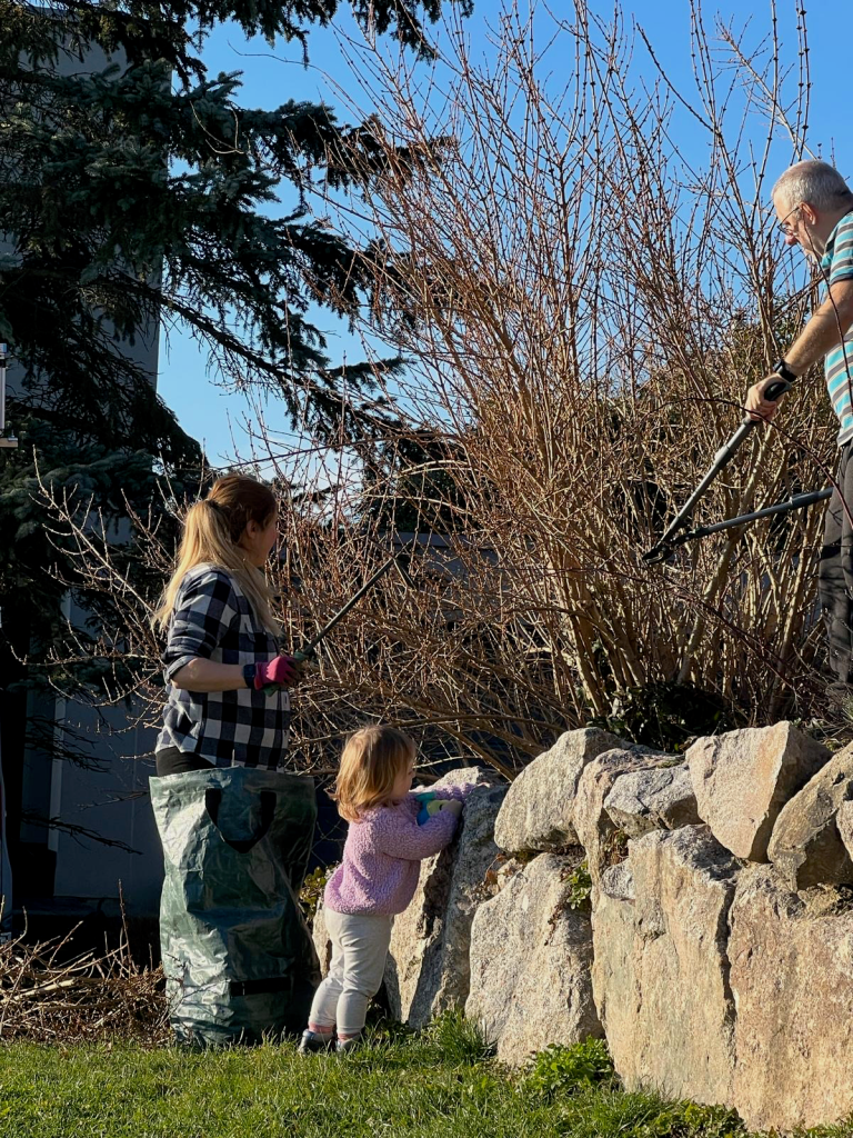 Grandad, mom and daughter trimming the bushes on a hot winter day