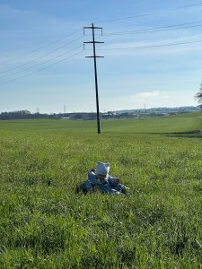 Toddler is sitting in the grass  on a sunny but cold day. 