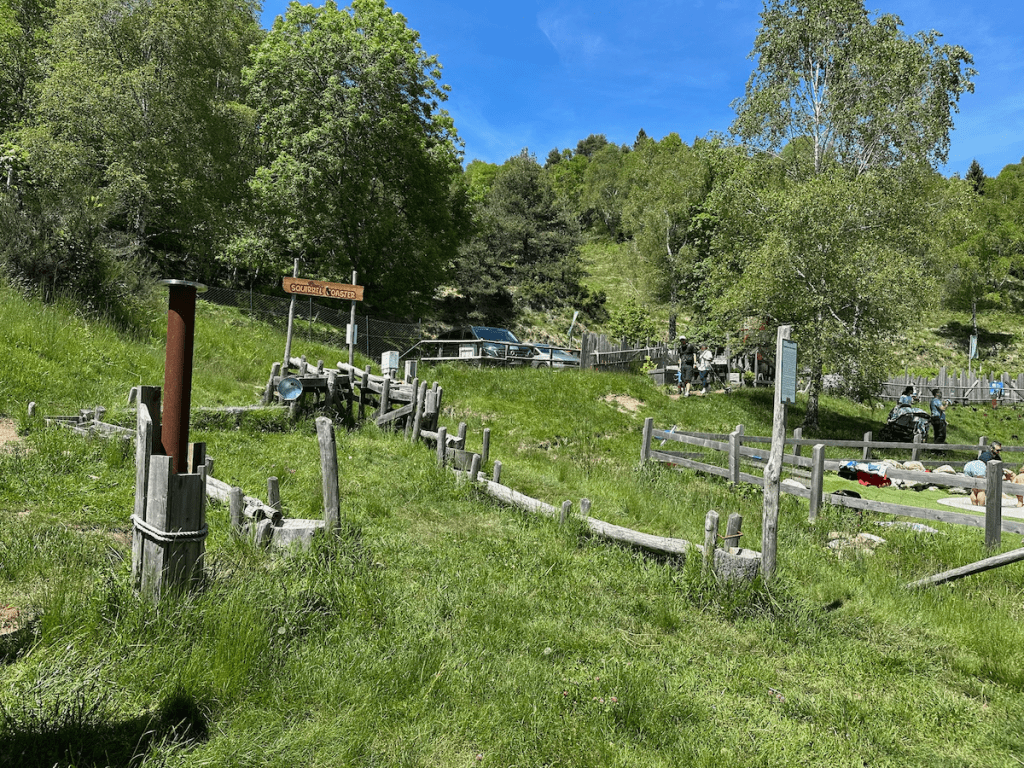 Squirrel Coaster: wooden ball run 